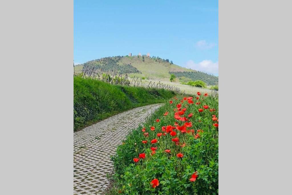 Gite A Eguisheim Proche De Colmar Et Kaysergberg. エクステリア 写真
