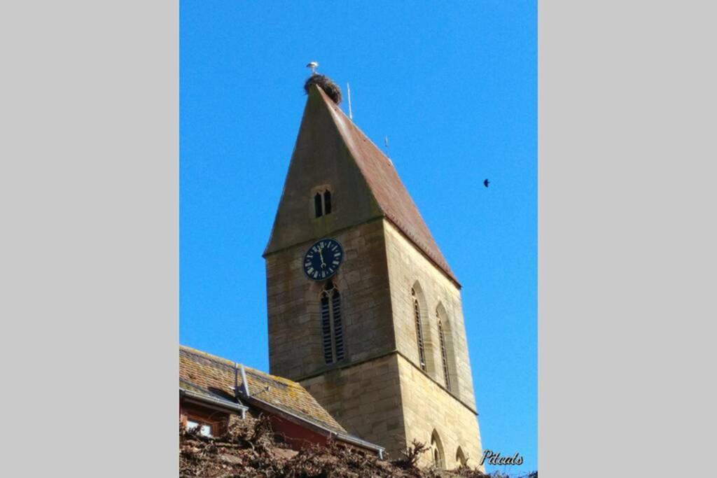 Gite A Eguisheim Proche De Colmar Et Kaysergberg. エクステリア 写真