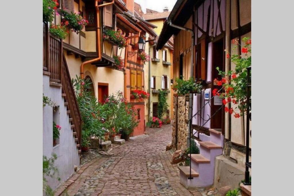 Gite A Eguisheim Proche De Colmar Et Kaysergberg. エクステリア 写真