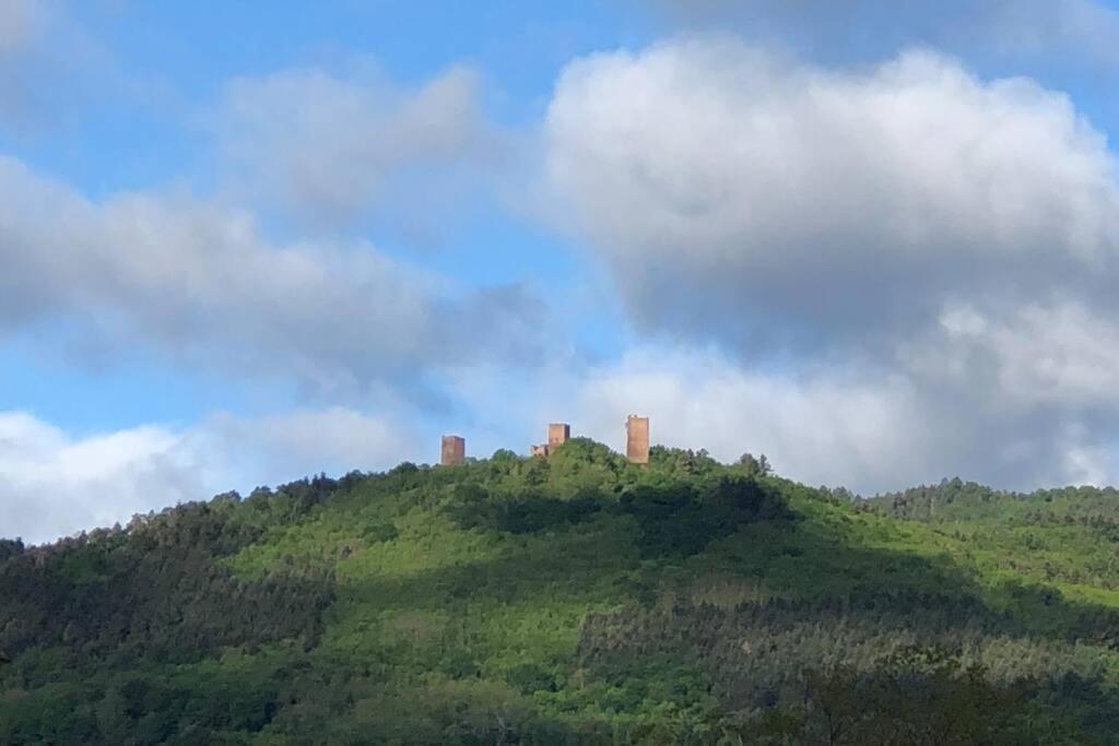 Gite A Eguisheim Proche De Colmar Et Kaysergberg. エクステリア 写真